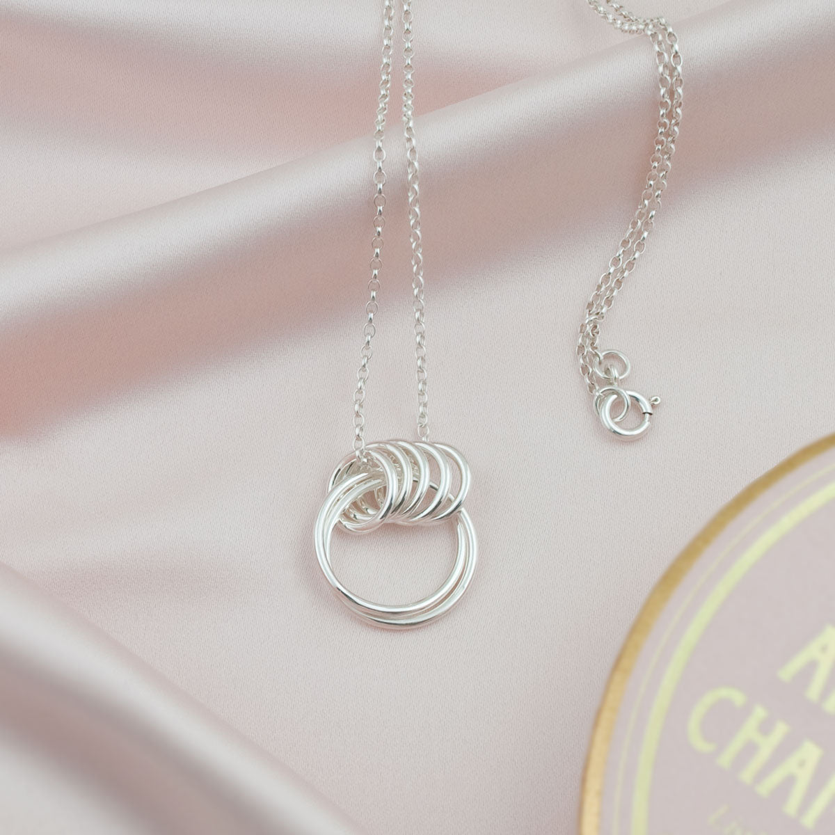 25th Silver Wedding Anniversary Necklace